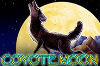 Coyote Moon